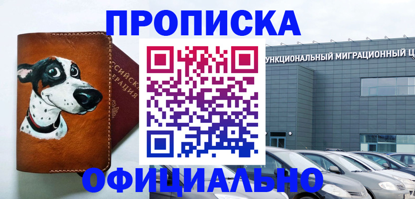 временная прописка в Борзе